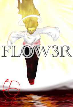 FLOW3R