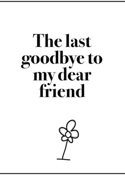 The last goodbye to my dear friend